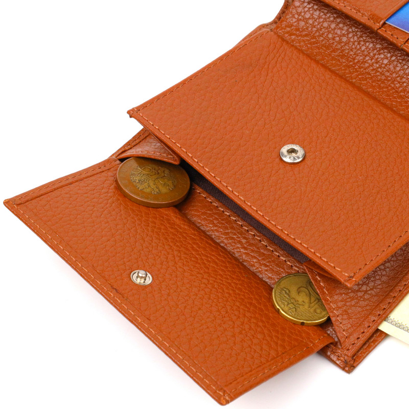 Стильный мужской кошелек вертикального формата из натуральной кожи CANPELLINI Рыжий