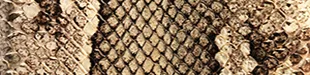 SNAKE LEATHER
