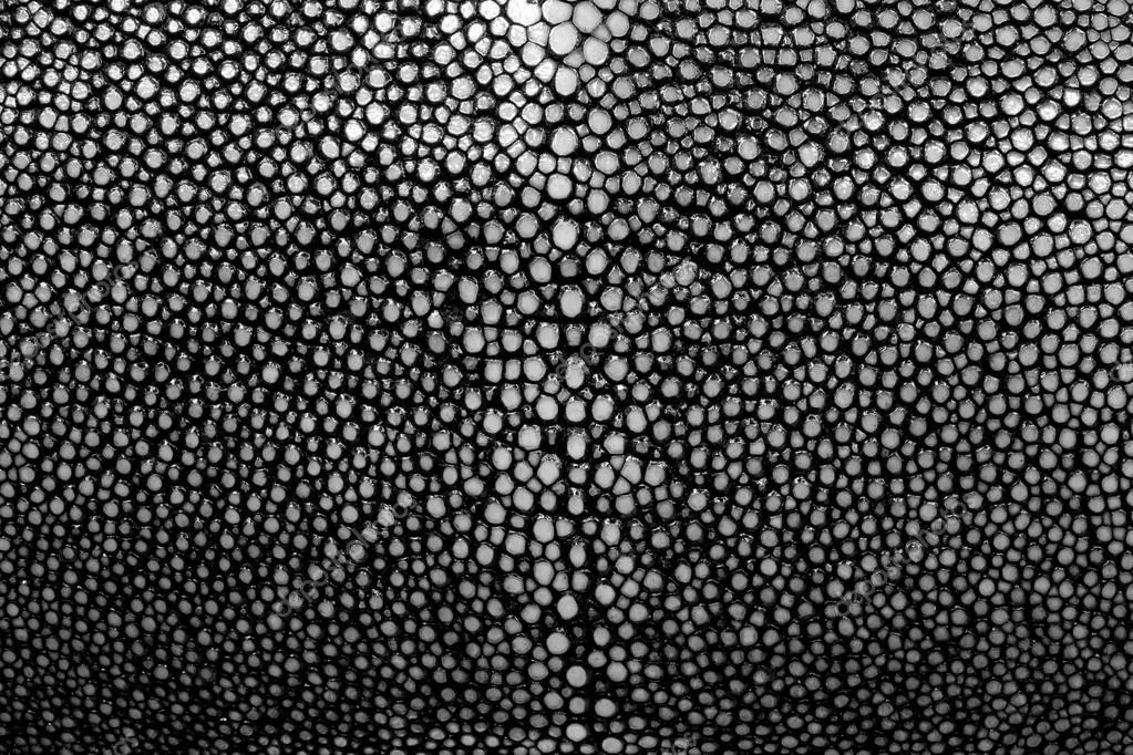 STINGRAY LEATHER