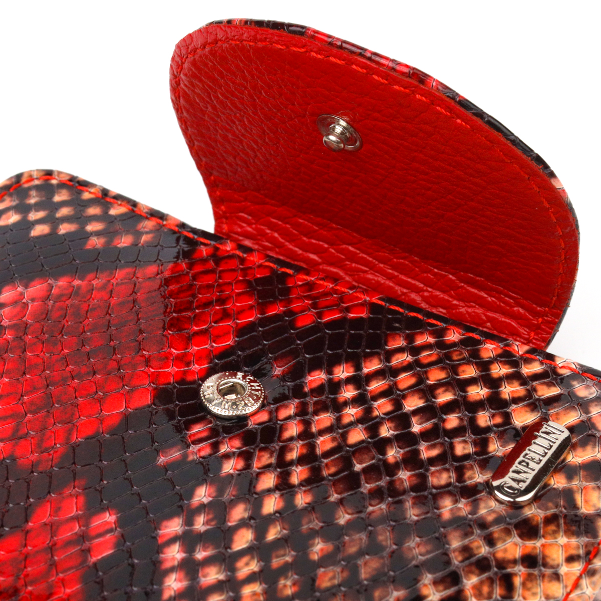 Невеликий жіночий гаманець з натуральної шкіри з тисненням під змію CANPELLINI Різнокольоровий