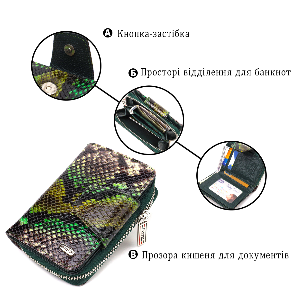 Жіноче фактурне вертикальне портмоне з монетницею на блискавці з натуральної шкіри з тисненням під змію CANPELLINI Різнокольорове